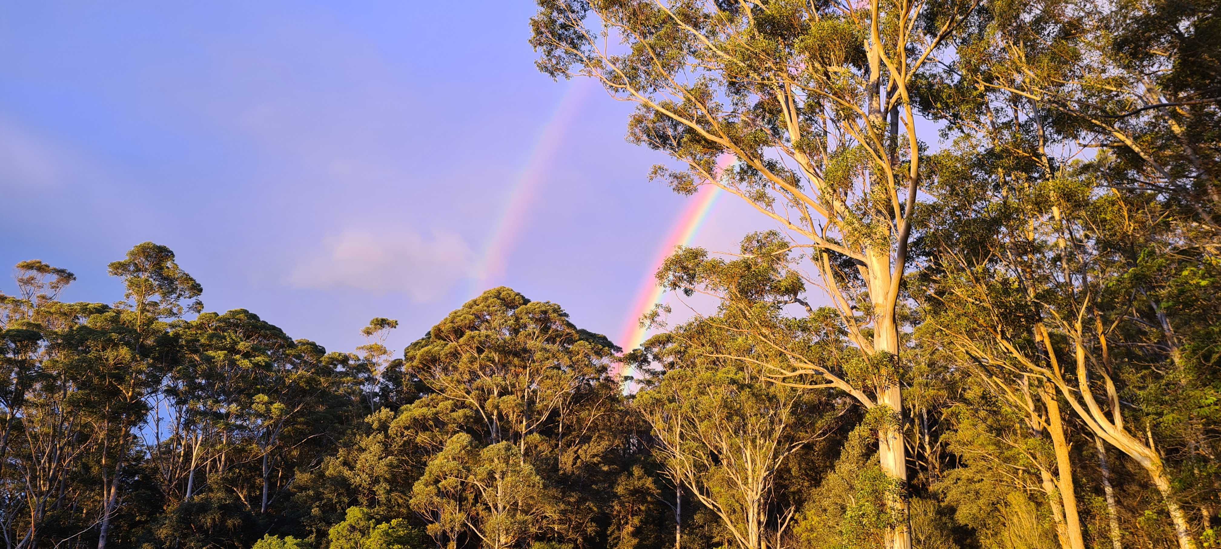 Double Rainbow