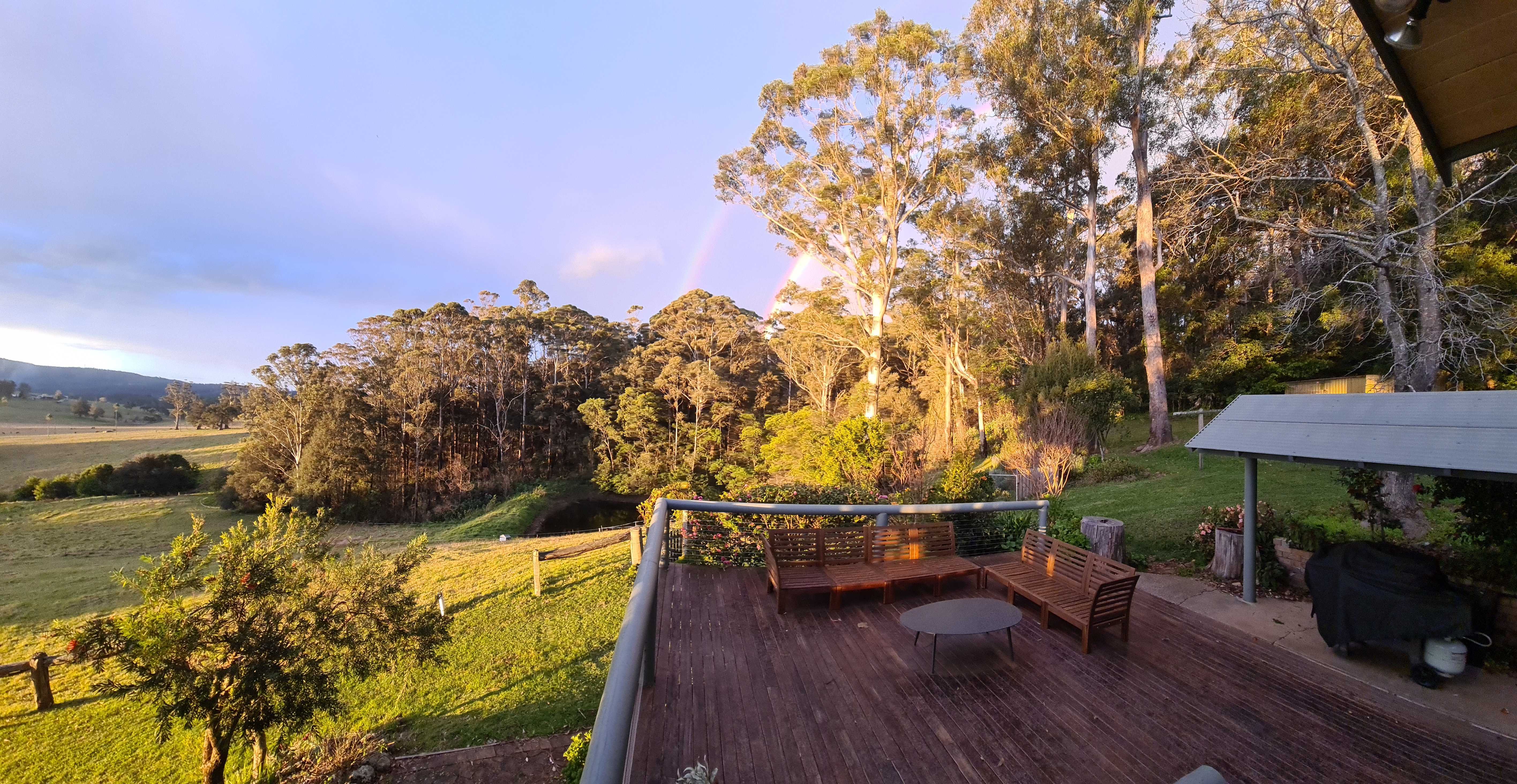 Deck Views