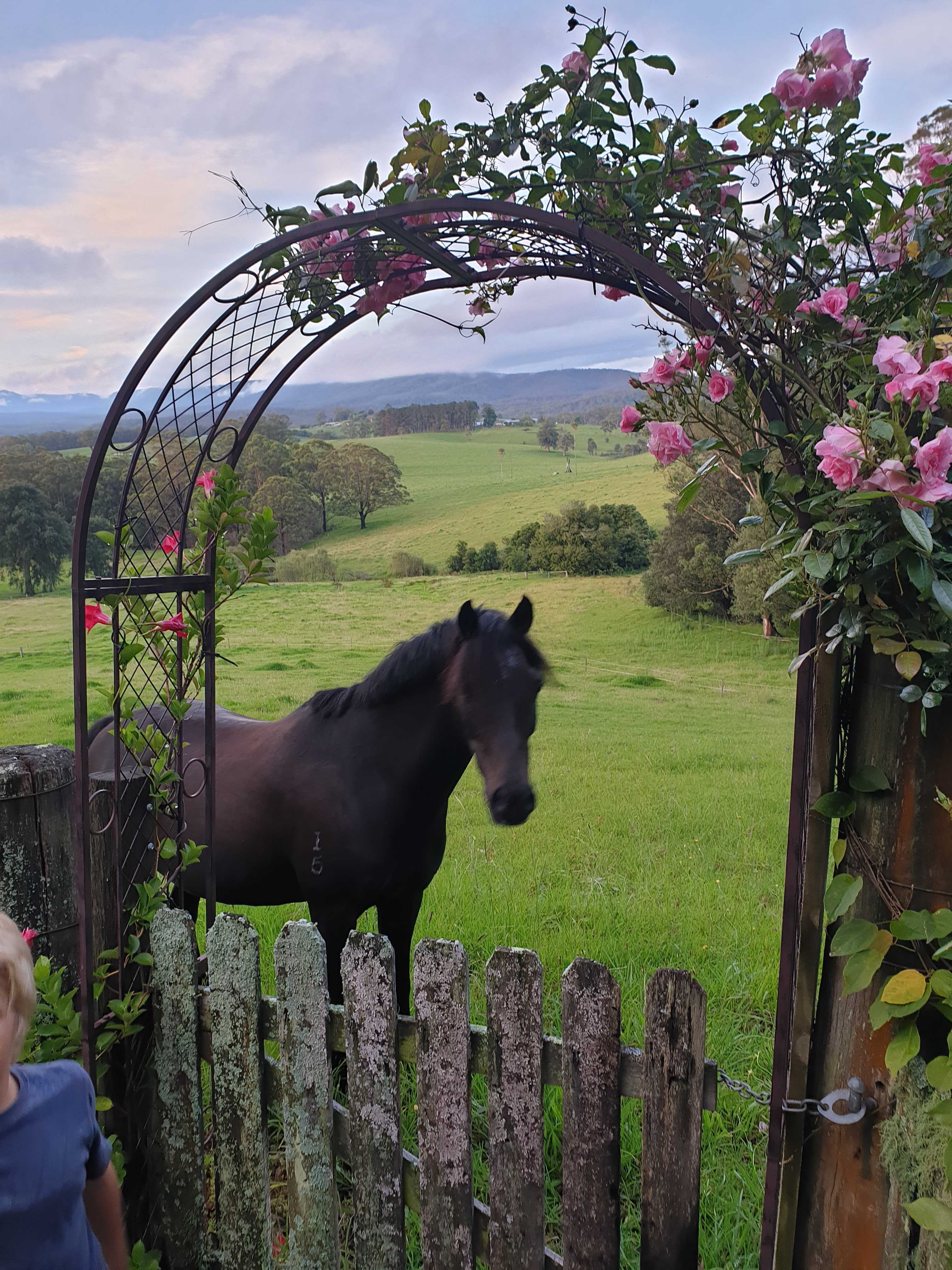 Property Gardens
