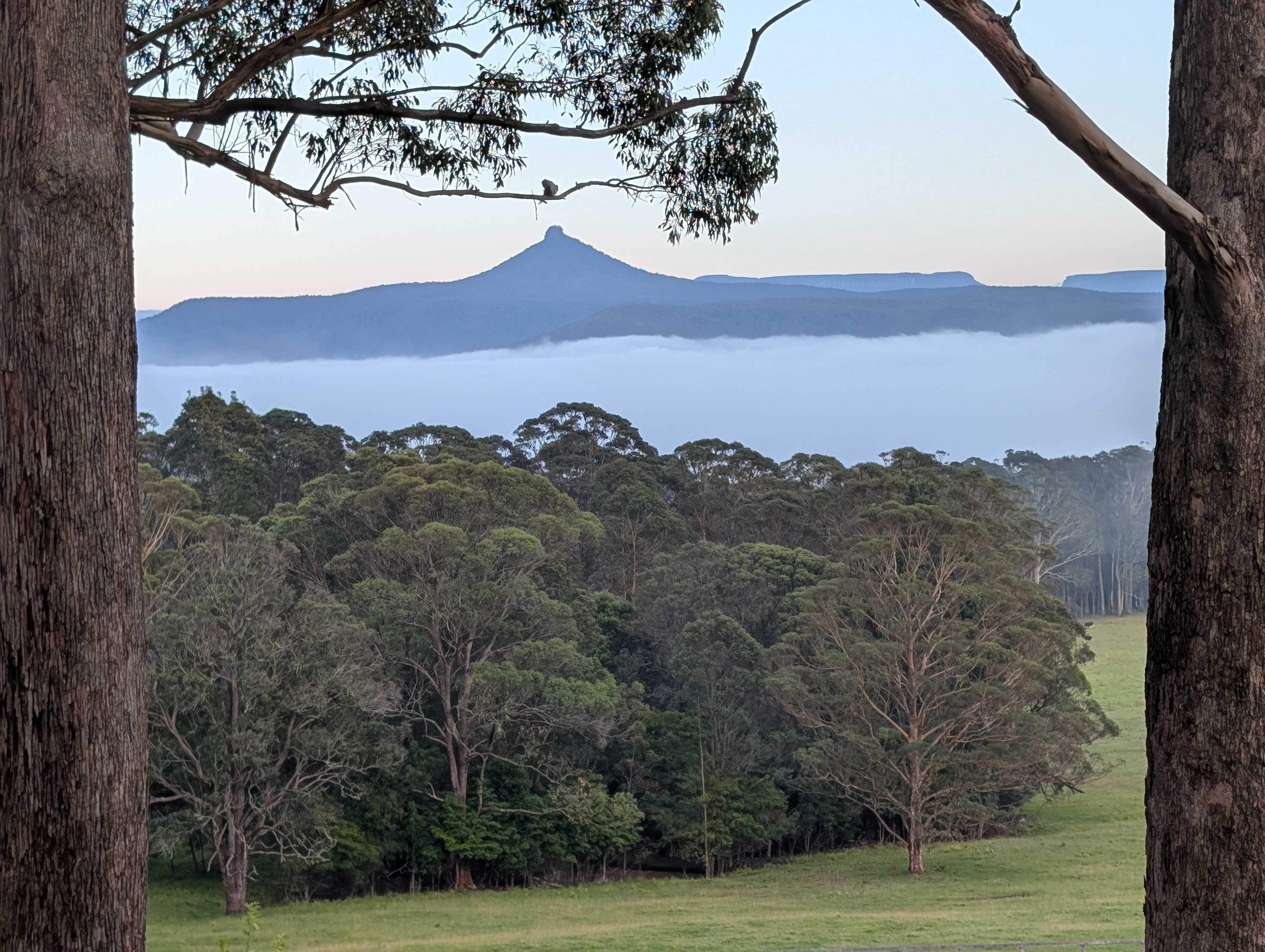 Pigeon House Mountain